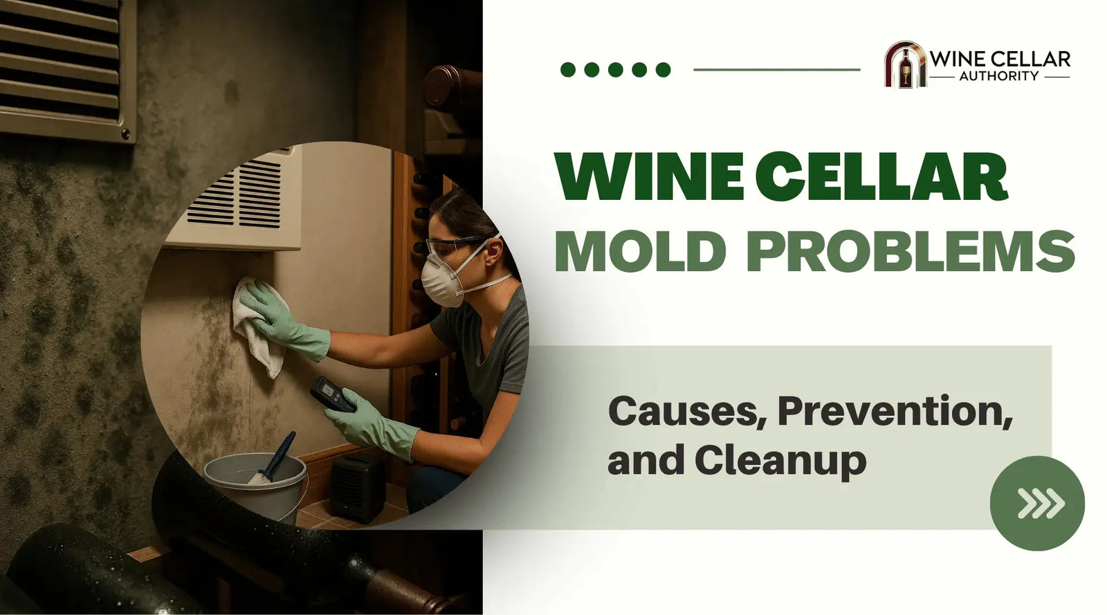 Wine Cellar Mold Problems: Causes, Prevention, and Cleanup | Wine Cellar Authority